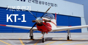 kt-1
